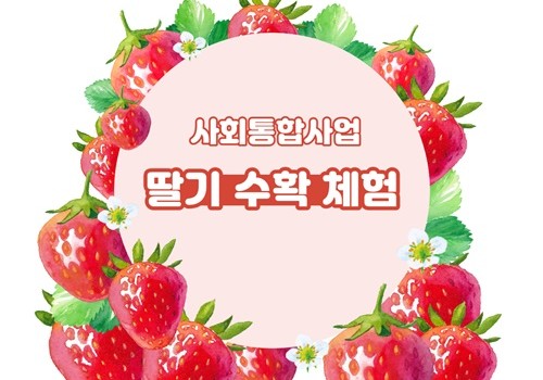 [주간보호센터] 딸기 수확 체험