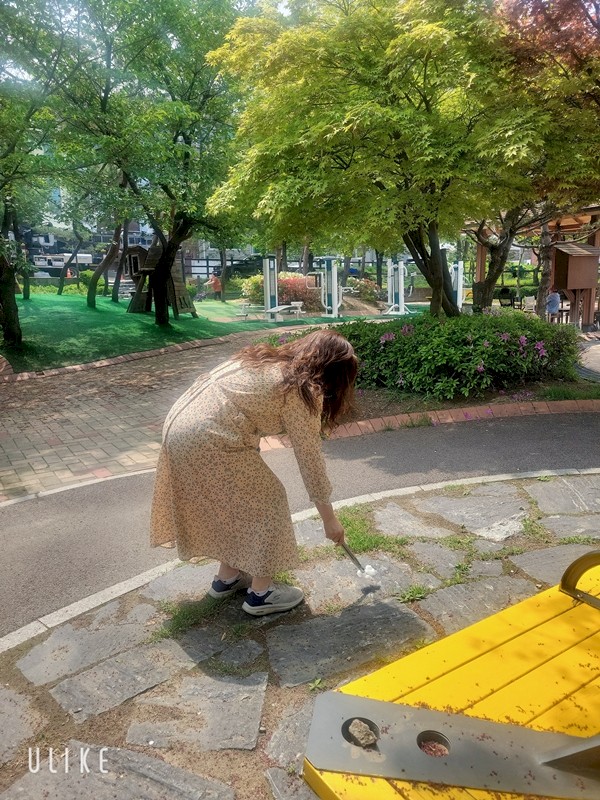 플로깅 진행 모습 플로깅 진행 모습