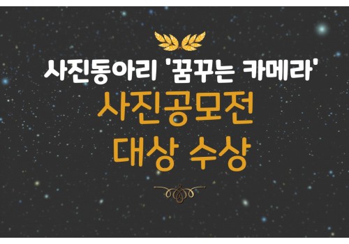 [사회참여지원팀] 사진동아리 사진 공모전 수상