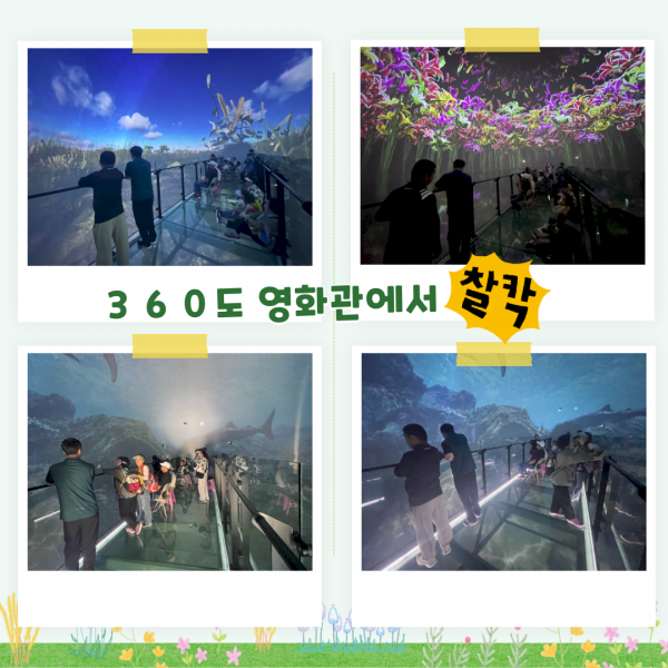 1988320267_M0tHSxfpBGv9JjO.png