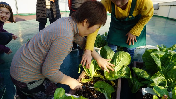 2015년도 직업적응훈련반 원예치료 진행!