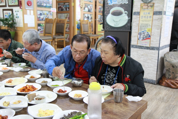 나들이 사진